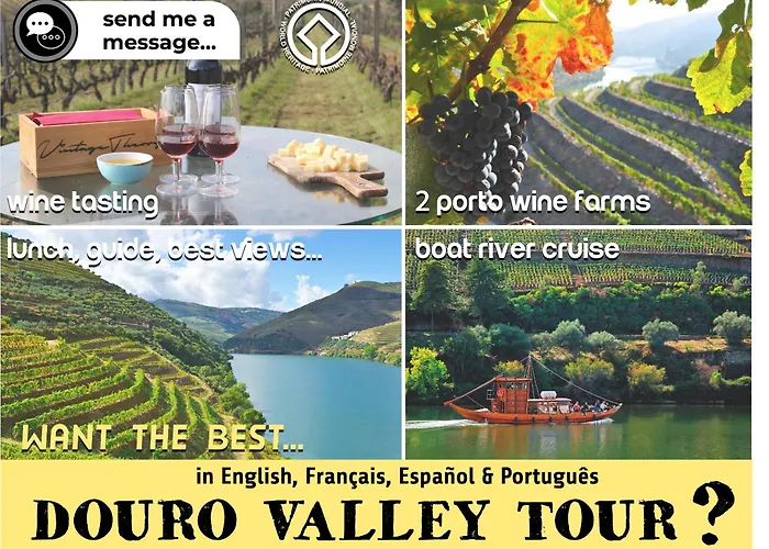 Cedofeita Village Porto